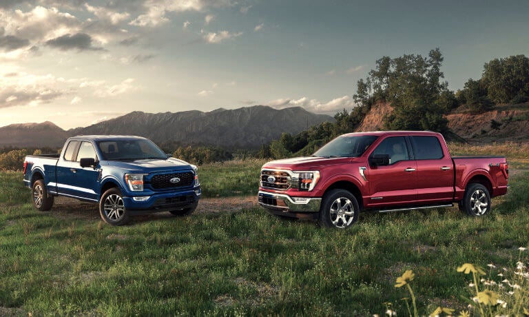 Two 2022 Ford F-150's exterior in grassy field
